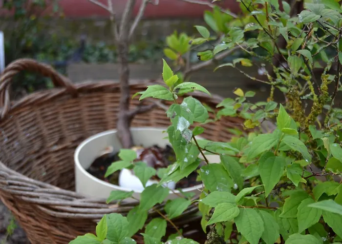 Le Jardin D Helant Ecquedecques